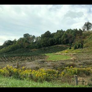 Meet your Posher, Abigail